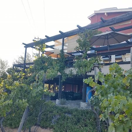 Rancho Los Amigos Cabin Lodge Ensenada Zewnętrze zdjęcie