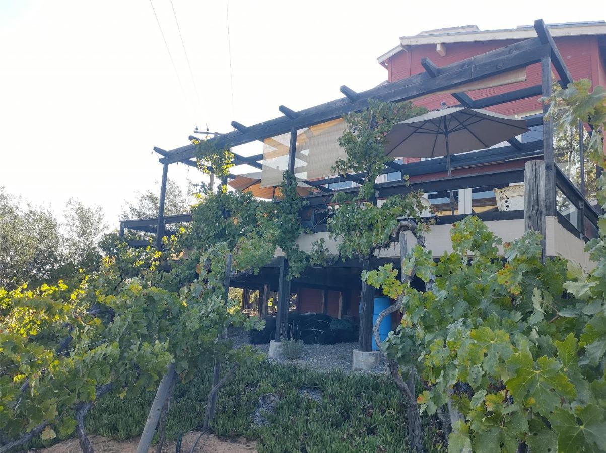 Rancho Los Amigos Cabin Lodge Ensenada Zewnętrze zdjęcie