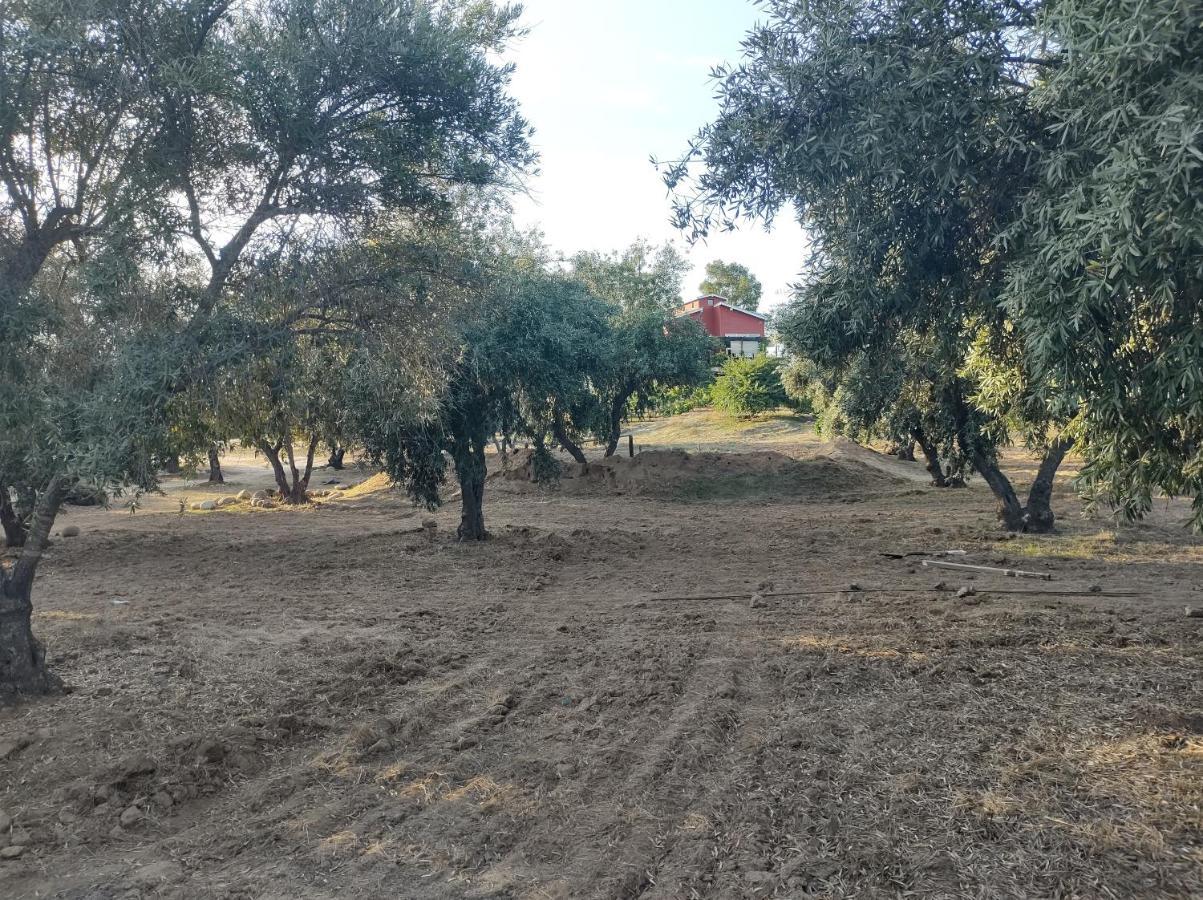 Rancho Los Amigos Cabin Lodge Ensenada Zewnętrze zdjęcie